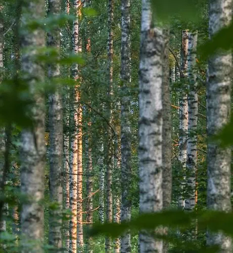 托赫马耶尔维公寓 *