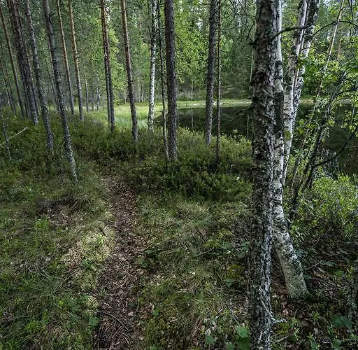 托赫马耶尔维公寓 公寓